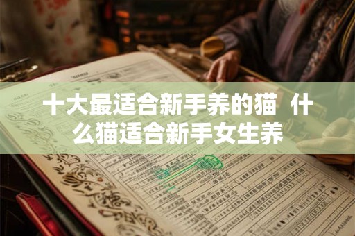 十大最适合新手养的猫  什么猫适合新手女生养