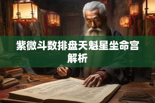 紫微斗数排盘天魁星坐命宫解析