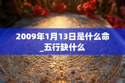 2009年1月13日是什么命_五行缺什么