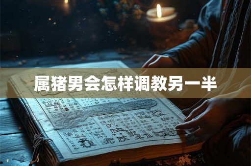 属猪男会怎样调教另一半