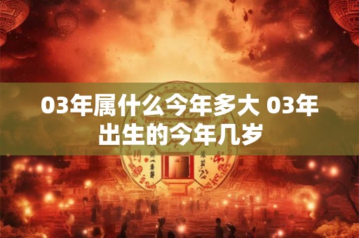 03年属什么今年多大 03年出生的今年几岁