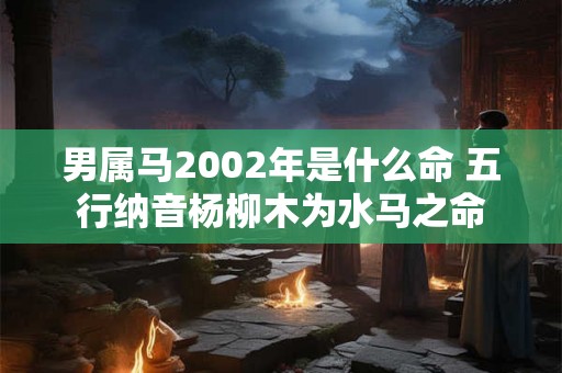 男属马2002年是什么命 五行纳音杨柳木为水马之命