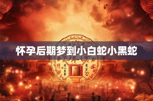 怀孕后期梦到小白蛇小黑蛇