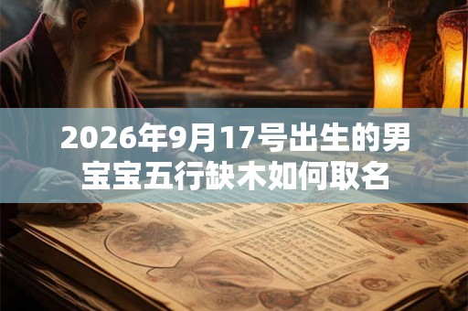 2026年9月17号出生的男宝宝五行缺木如何取名
