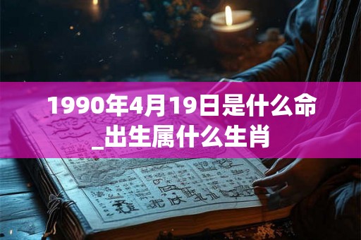 1990年4月19日是什么命_出生属什么生肖