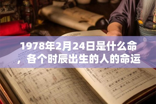 1978年2月24日是什么命，各个时辰出生的人的命运