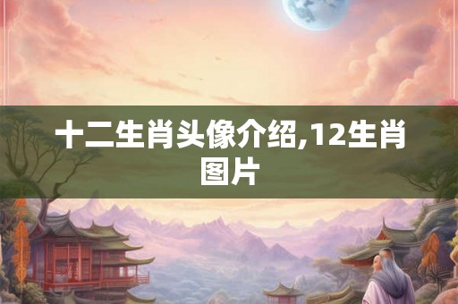 十二生肖头像介绍,12生肖图片