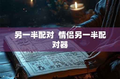 另一半配对  情侣另一半配对器
