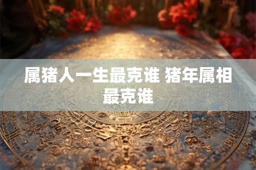 属猪人一生最克谁 猪年属相最克谁 属猪人一生最克谁 猪年属相最克谁
