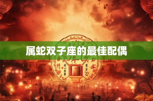 属蛇双子座的最佳配偶