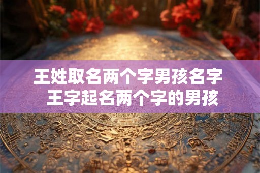 王姓取名两个字男孩名字  王字起名两个字的男孩