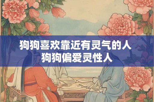 狗狗喜欢靠近有灵气的人 狗狗偏爱灵性人