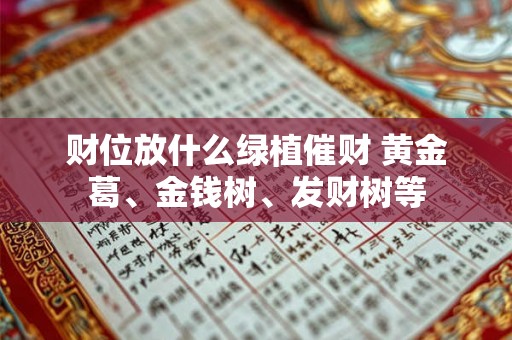 财位放什么绿植催财 黄金葛、金钱树、发财树等