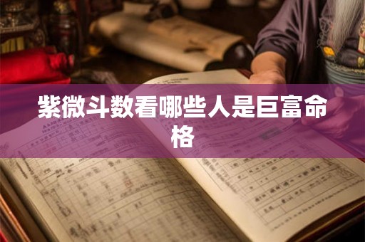 紫微斗数看哪些人是巨富命格