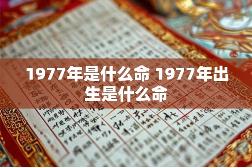 1977年是什么命 1977年出生是什么命