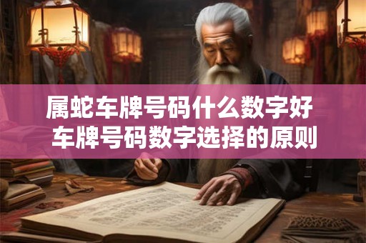 属蛇车牌号码什么数字好 车牌号码数字选择的原则
