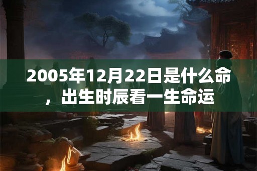 2005年12月22日是什么命，出生时辰看一生命运