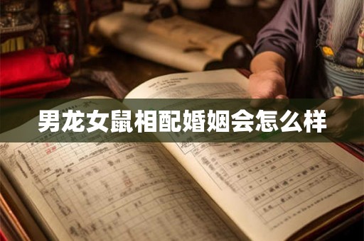 男龙女鼠相配婚姻会怎么样