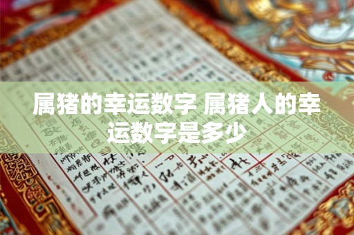 属猪的幸运数字 属猪人的幸运数字是多少