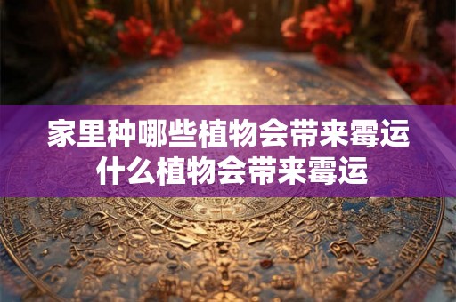 家里种哪些植物会带来霉运 什么植物会带来霉运