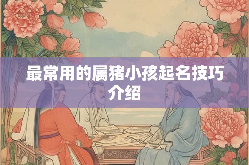 最常用的属猪小孩起名技巧介绍