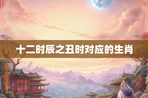 十二时辰之丑时对应的生肖