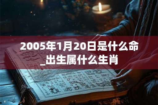 2005年1月20日是什么命_出生属什么生肖