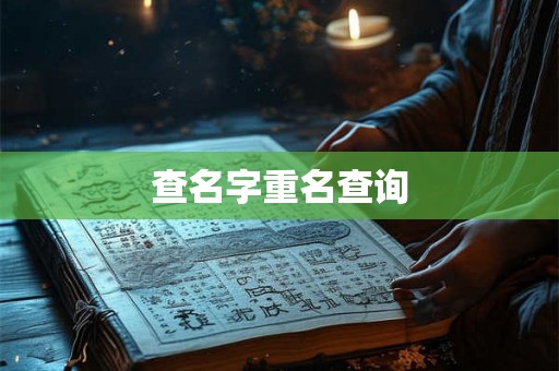 查名字重名查询