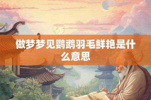 做梦梦见鹦鹉羽毛鲜艳是什么意思