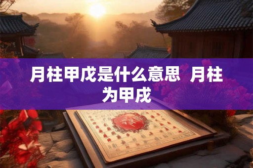 月柱甲戊是什么意思  月柱为甲戌