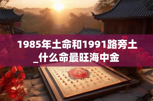 1985年土命和1991路旁土_什么命最旺海中金 1985年土命和1991路旁土_什么命最旺海中金