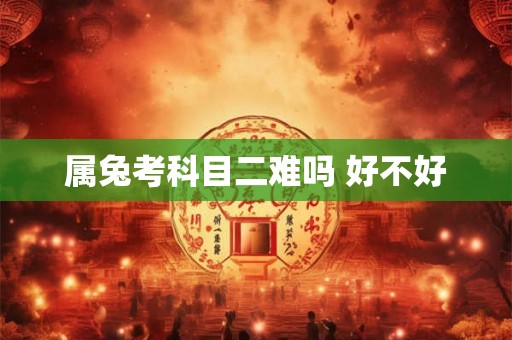 属兔考科目二难吗 好不好