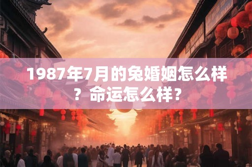 1987年7月的兔婚姻怎么样？命运怎么样？