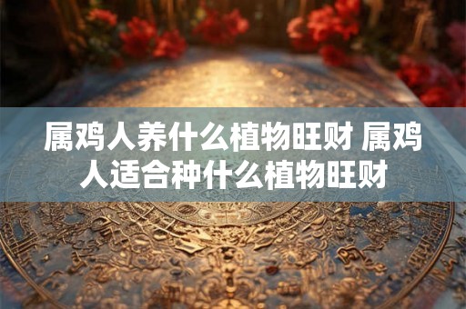 属鸡人养什么植物旺财 属鸡人适合种什么植物旺财