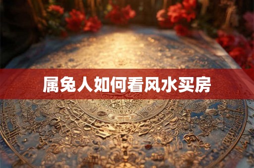 属兔人如何看风水买房