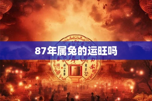 87年属兔的运旺吗
