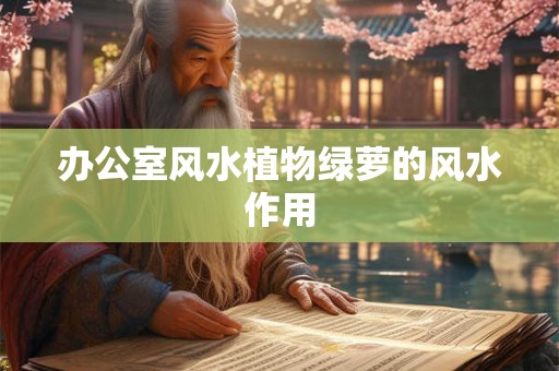 办公室风水植物绿萝的风水作用