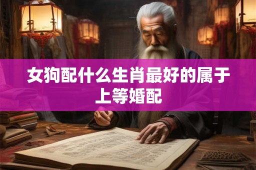 女狗配什么生肖最好的属于上等婚配