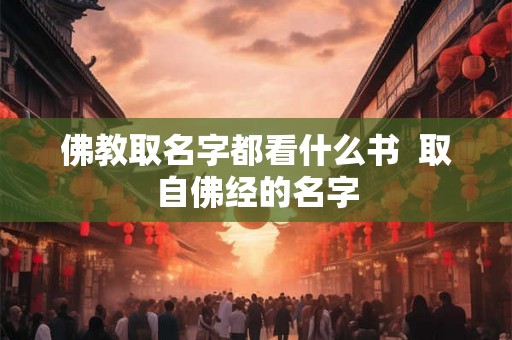 佛教取名字都看什么书  取自佛经的名字