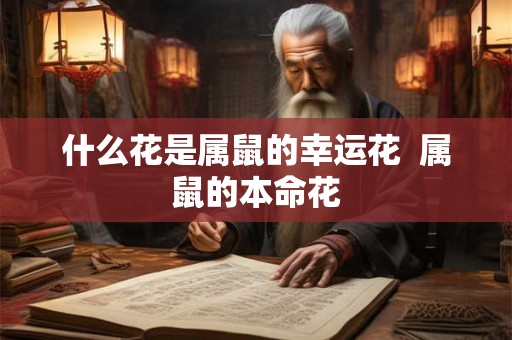 什么花是属鼠的幸运花  属鼠的本命花