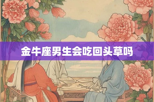金牛座男生会吃回头草吗