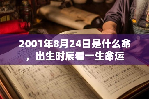 2001年8月24日是什么命，出生时辰看一生命运