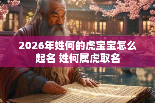 2026年姓何的虎宝宝怎么起名 姓何属虎取名