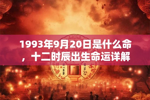 1993年9月20日是什么命，十二时辰出生命运详解