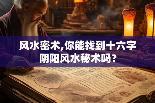 风水密术,你能找到十六字阴阳风水秘术吗？