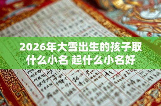 2026年大雪出生的孩子取什么小名 起什么小名好