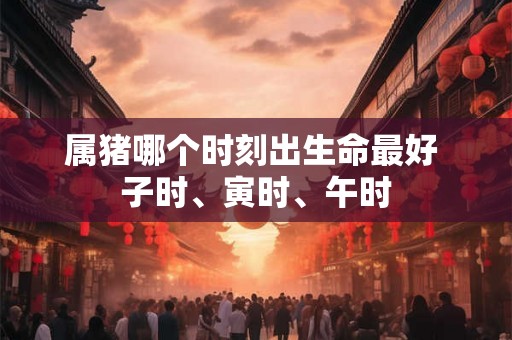 属猪哪个时刻出生命最好 子时、寅时、午时
