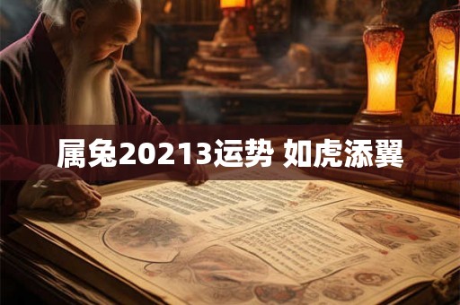 属兔20213运势 如虎添翼