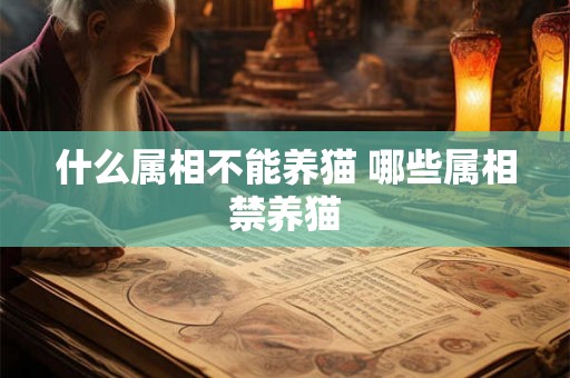 什么属相不能养猫 哪些属相禁养猫 什么属相不能养猫 哪些属相禁养猫