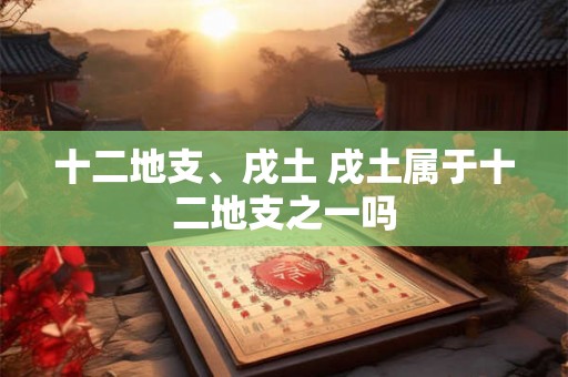 十二地支、戌土 戌土属于十二地支之一吗